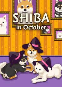 SHIBA in October