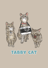 tabbycat11 / tan