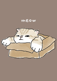 neko drawing4 / brown