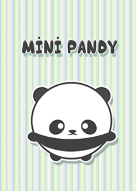 Mini Pandy