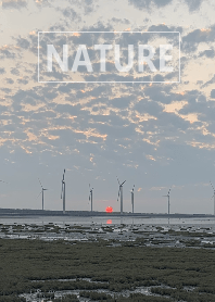 The nature33