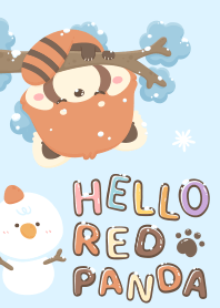 Hello Red Panda | Winter Snow