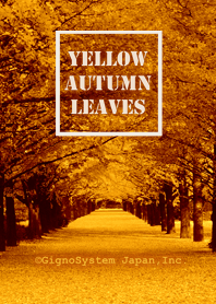 Yellow Autumn Leaves