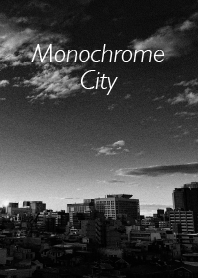 Monochrome City. モノクロの東京の街