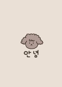 korea_ toy poodle#beigebrown