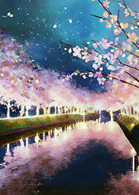 Beautiful night cherry blossoms#372