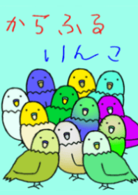 color parakeet
