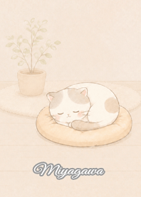 Cozy Lazy Cat: Miyagawa
