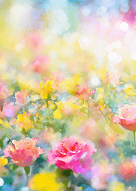 Beautiful rose flower(R5081)