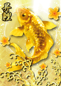 Attract good fortune Golden Carp 19