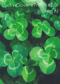 Lucky Clovers Photo#2-31Not AI