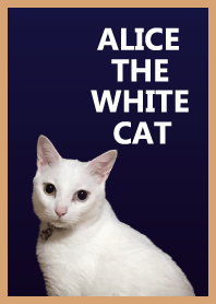 Alice the white cat