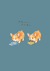 我養的可愛柯基犬(湖水綠)