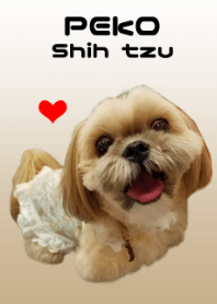 シーズー❤ペコちゃん