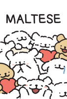 Maltese
