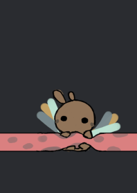 rabbit staring . hug -2
