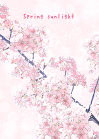 봄의 빛 - 벚꽃 02 -