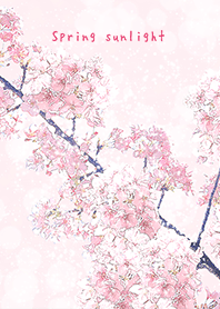 Spring sunlight - SAKURA02 -