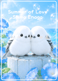 blue Summer of Love Shima Enaga