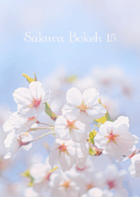 Sakura Bokeh 15