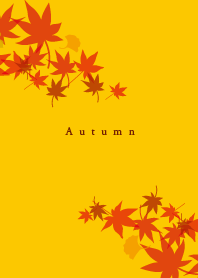 Autumn leaves Theme.
