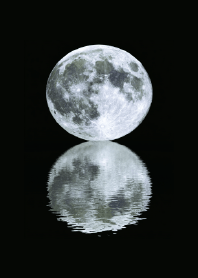 Moonlight Goodnight