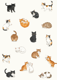 Cute cat daily life.white/yellow