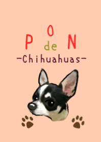 チワワでPON☆