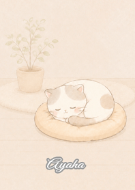 Cozy Lazy Cat: Ayaha