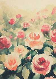 Beautiful rose flower(R4974)