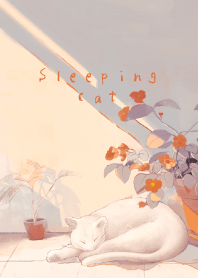 Sleeping white cat - evening