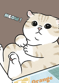 neko single17 / brown