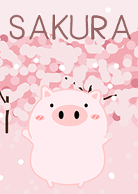 หมูอ้วนชมซากุระ