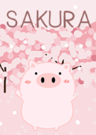 Pig to see Sakura