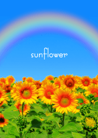 .*sunflower*.