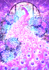 Pink lavender peacock brings good luck