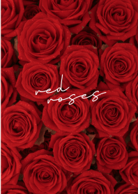 Red Roses for love Beige Blue theme