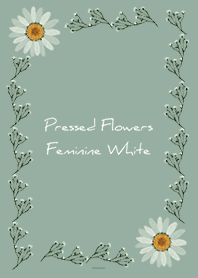 Beige Khaki : Feminine pressed flowers