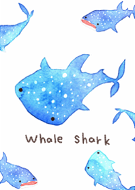 I love cute whale sharks9.
