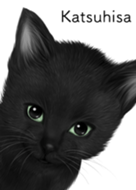 Katsuhisa Cute black cat kitten