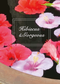 Hibiscus & black