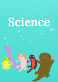 Theme of Science <Biology Amphibian>