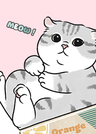 neko single15 - pink