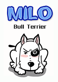 Milo bull terrier