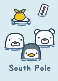 South Pole