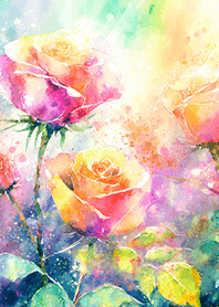 Beautiful rose flower(R1224)