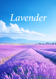 "Lavender vol.1" theme