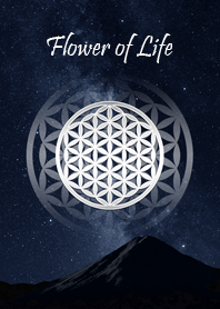 Flower of Life in the Starry Sky