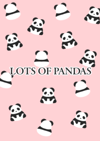 LOTS OF PANDAS-PINK