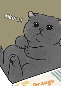 neko single21 / olive
